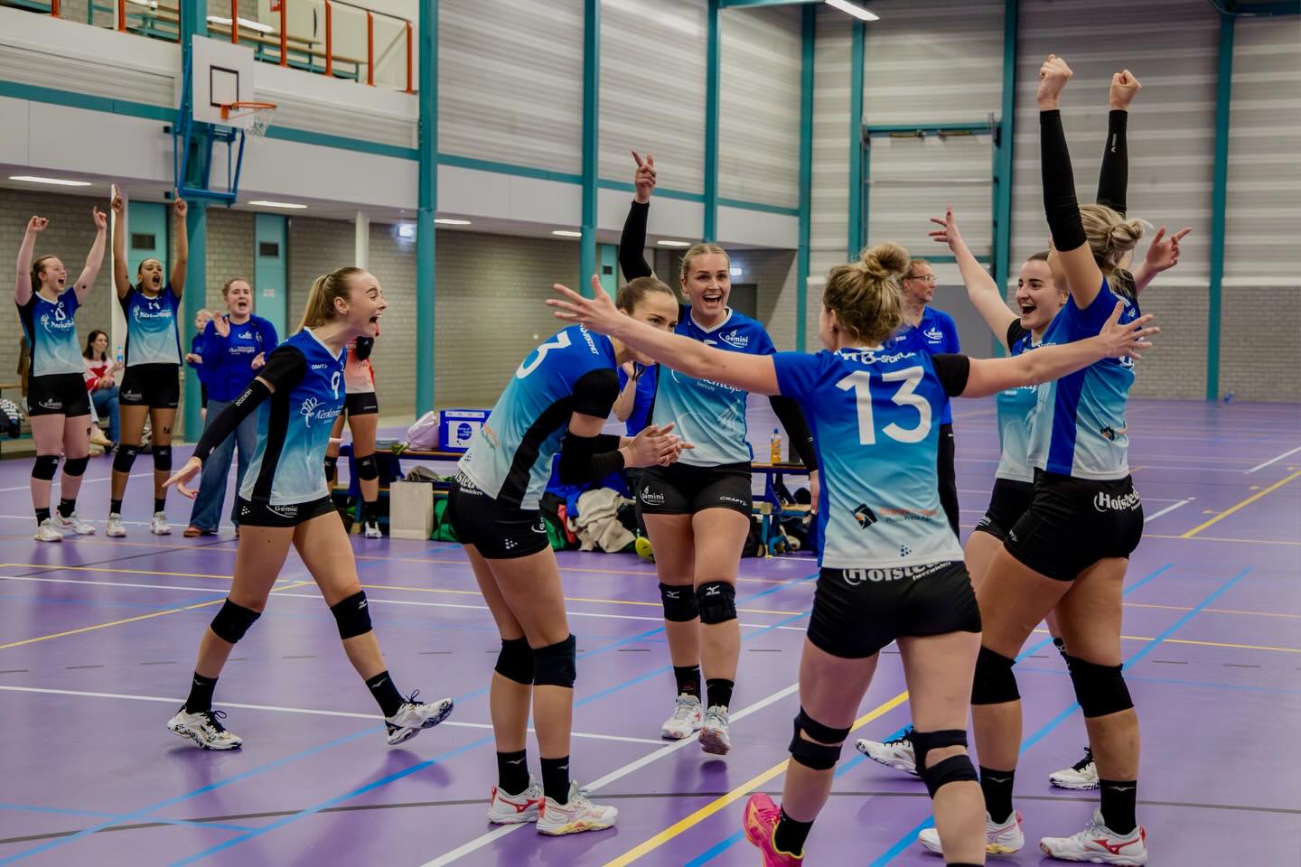 Volleybalvereniging Gemini Borculo